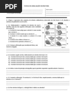 3º Teste 7º Ano_ 7ºB