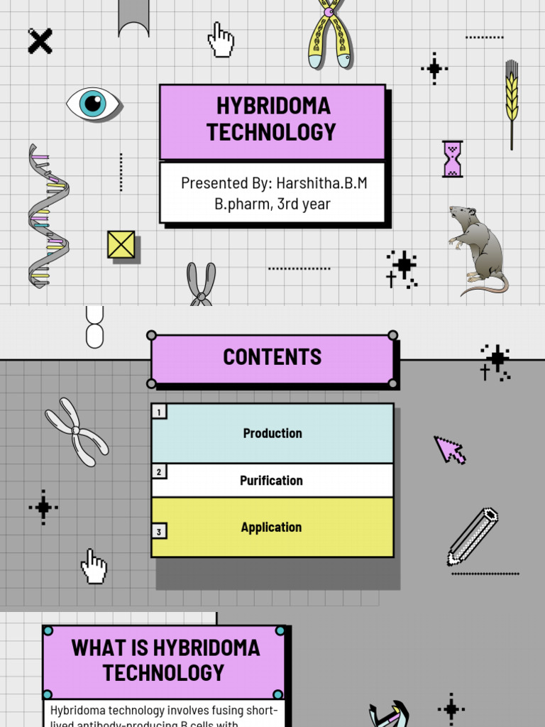 Hybridoma Technology Overview | PDF | Monoclonal Antibody | Nucleotides