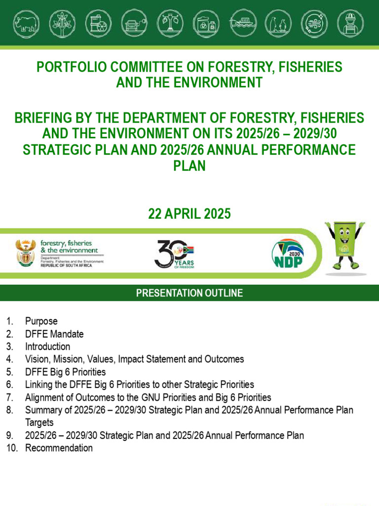 DFFE 2025-2030 Strategic Plan Overview | PDF | Cost Of Living ...