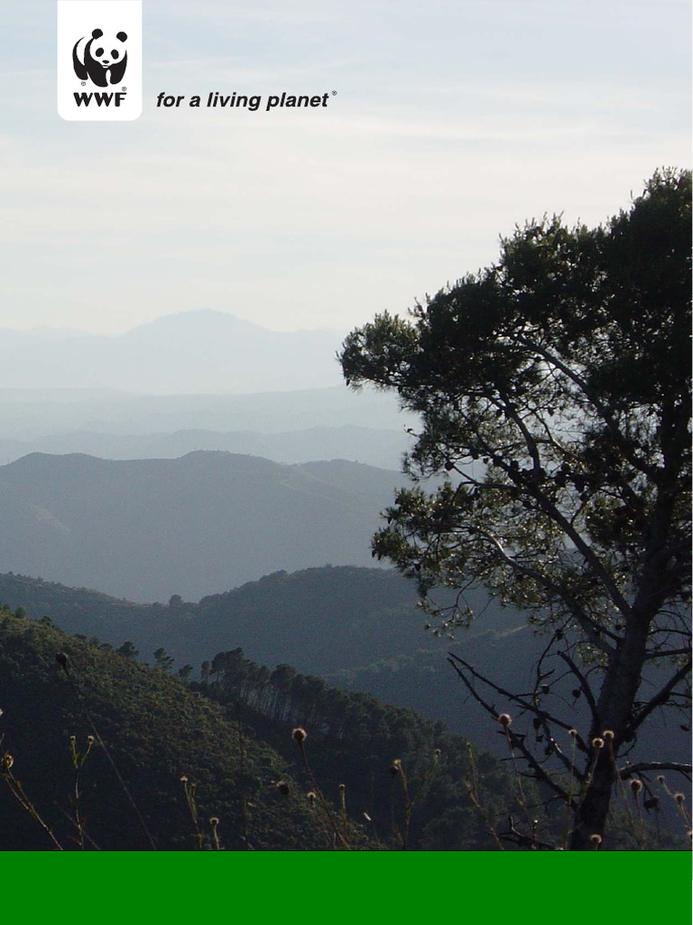 Restauration des paysages forestiers : Bilan 5 ans | PDF | Forêt | Paysage