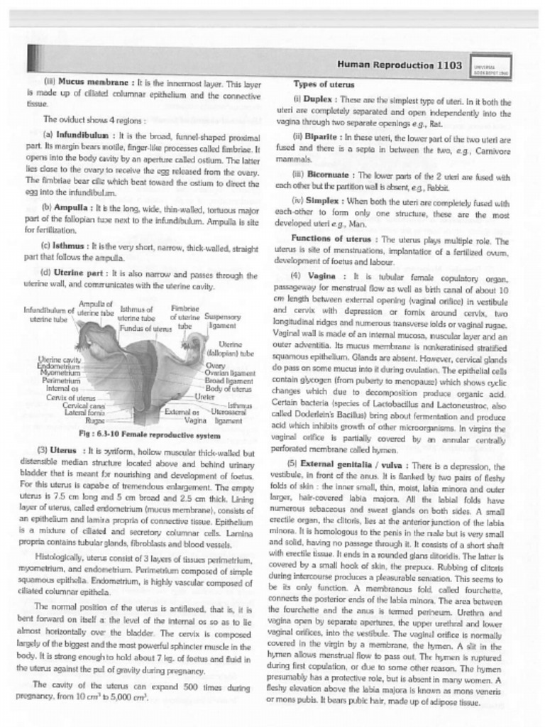 Errorless Biology Part 2 55 Pdf