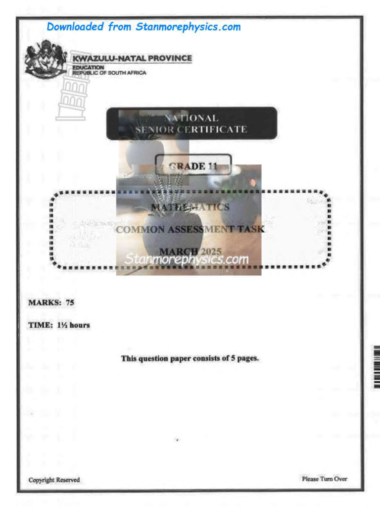 KZN Maths Grade 11 March 2025 QP and Memo | PDF