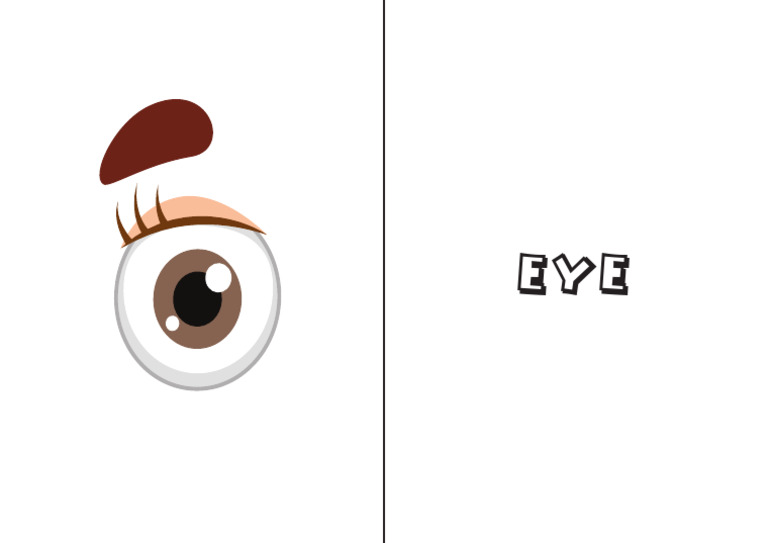 Eye | PDF