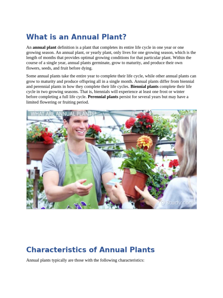 Understanding Annual Crops and Examples | PDF | Agriculture | Crop Rotation