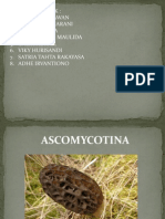 Ascomycotina