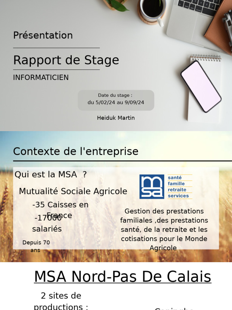 Rapport de stage en informatique à la MSA | PDF | Informatique ...