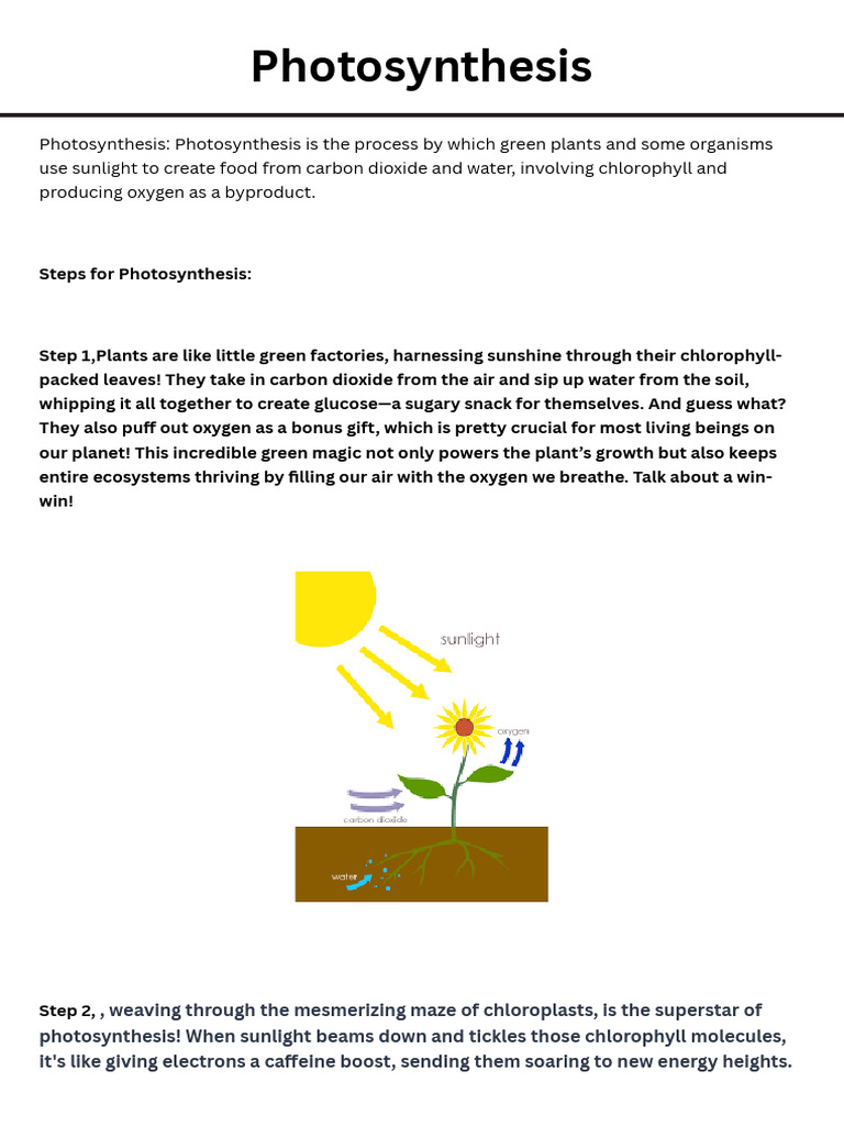 Understanding Photosynthesis Process | PDF | Photosynthesis | Biochemistry