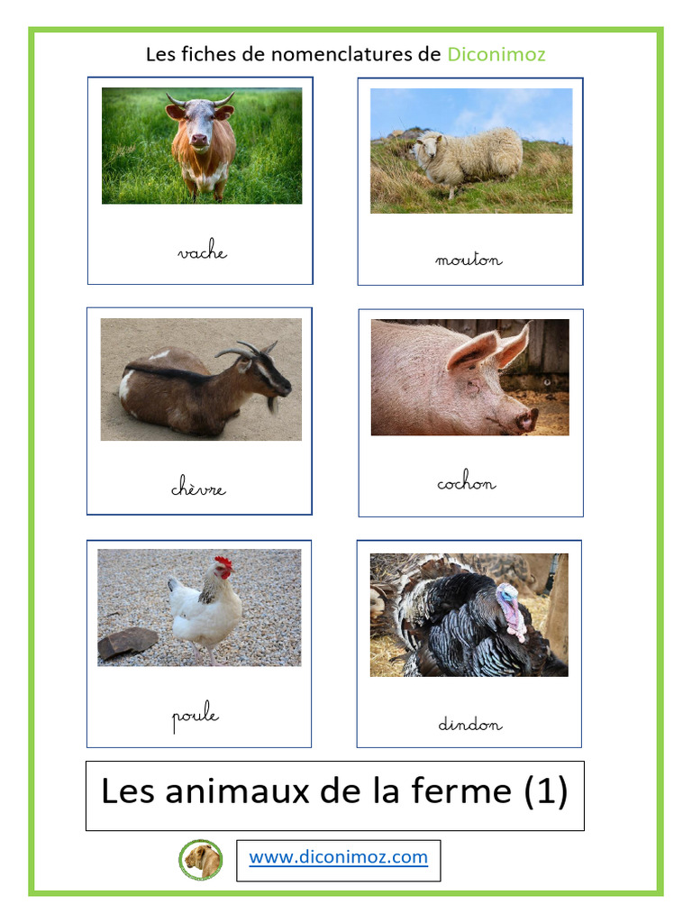 Nomenclatures des animaux de la ferme | PDF