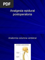 Download Analgesia Epidural Postoperatoria1 by anon-753078 SN8527707 doc pdf