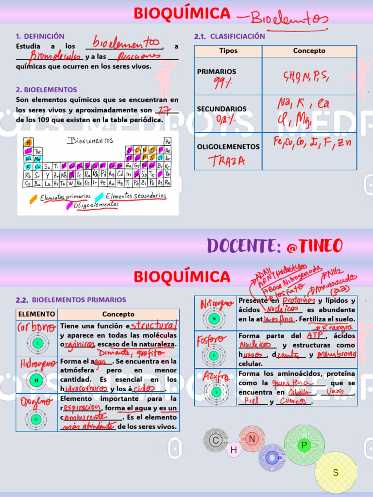 Bioquímica: Bioelementos y Biomoléculas | PDF | Biomoléculas | Organismos
