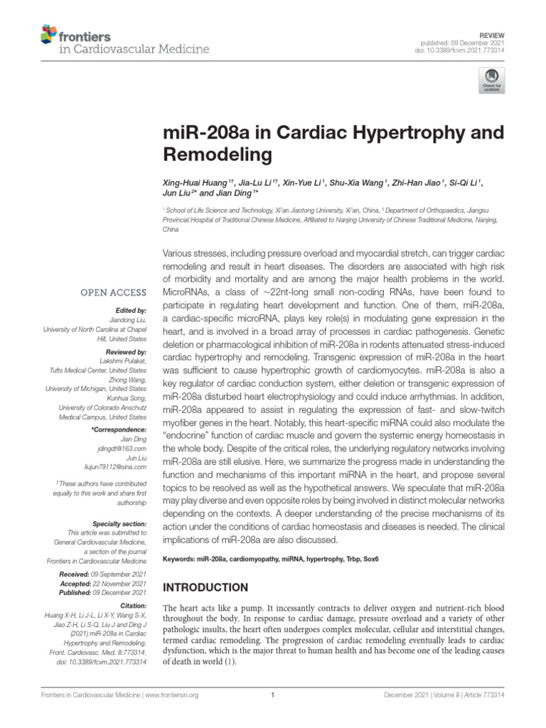 Role of miR-208a in Cardiac Health | PDF | Skeletal Muscle | Micro Rna