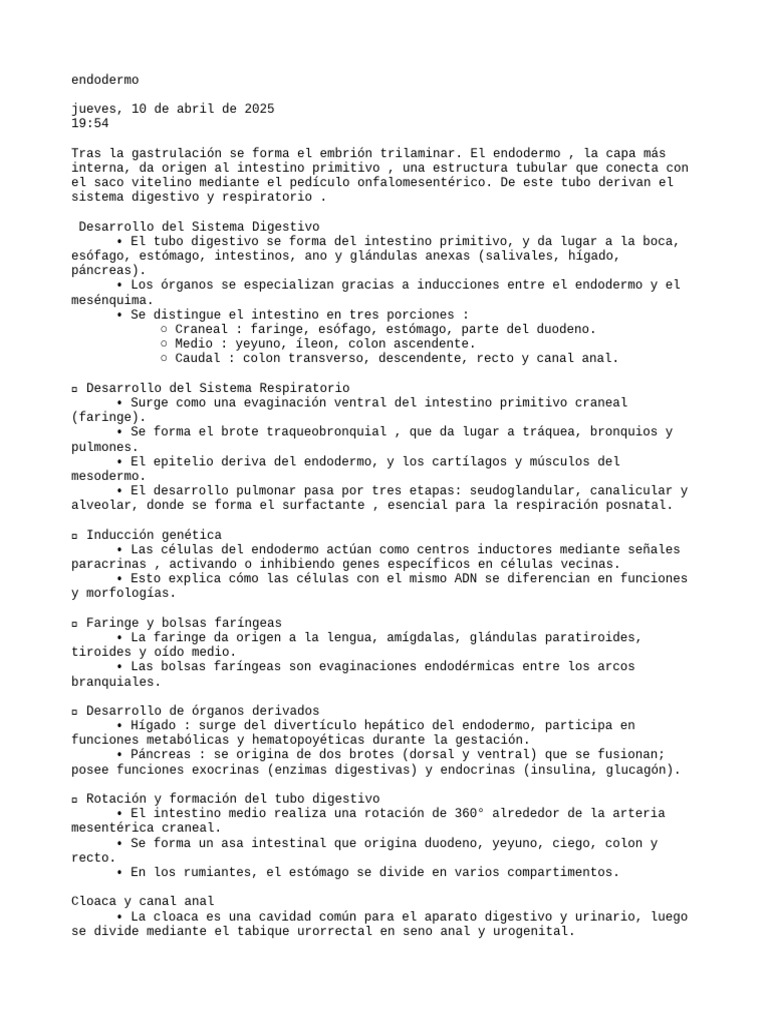 Desarrollo del Endodermo en Embriología | PDF | Sistema digestivo ...