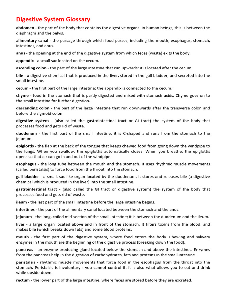 Digestive System Terms Explained | PDF | Gastrointestinal Tract | Human ...