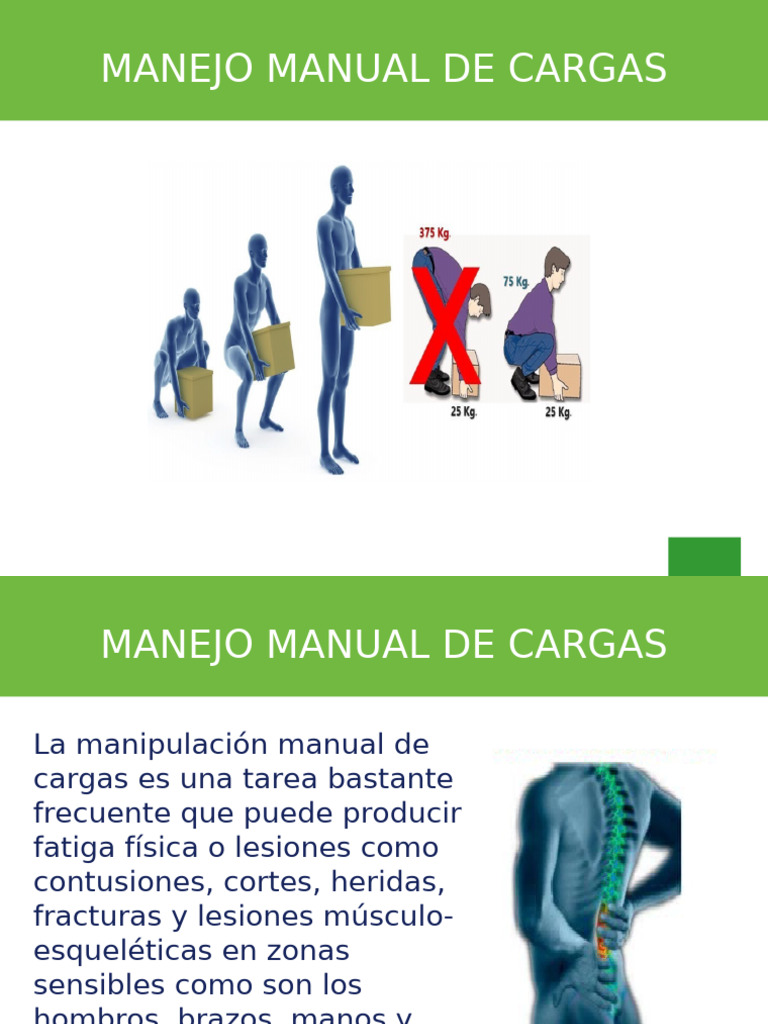 Prevención de Lesiones en Manejo de Cargas | PDF | Dolor lumbar | La ...