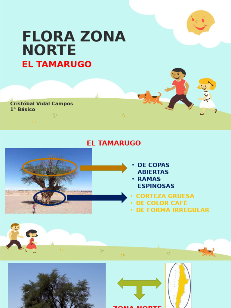 Características del Tamarugo en el Norte | PDF