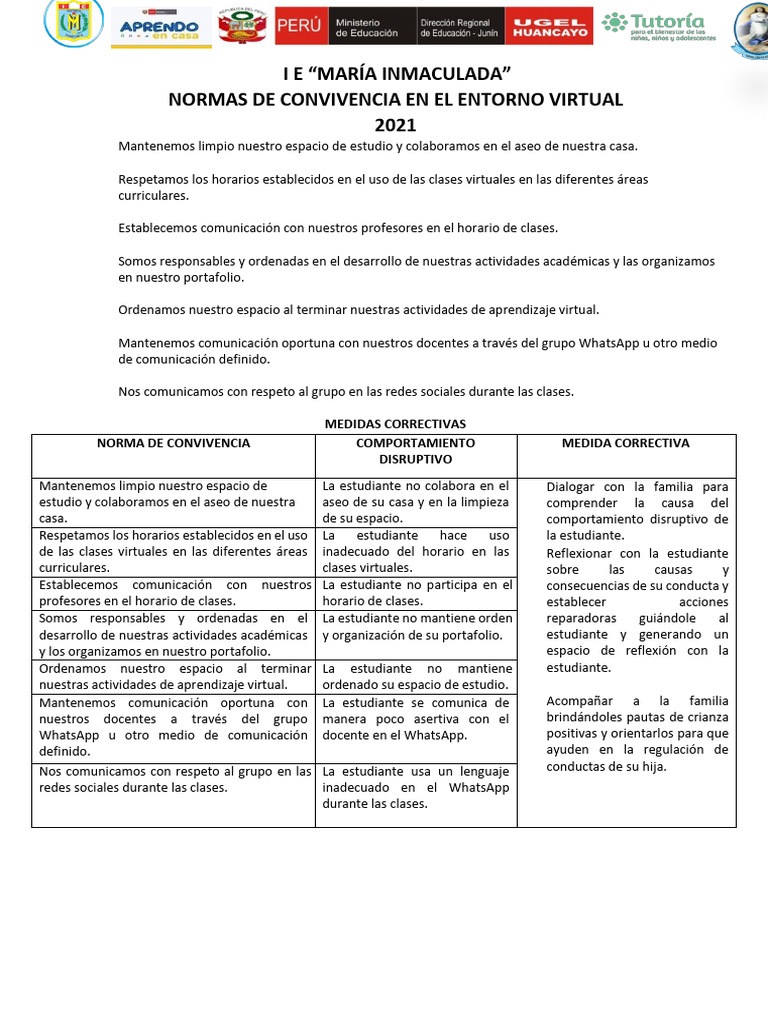 Normas de Convivencia Virtual 2021 | PDF | Psicología Social | Aprendizaje