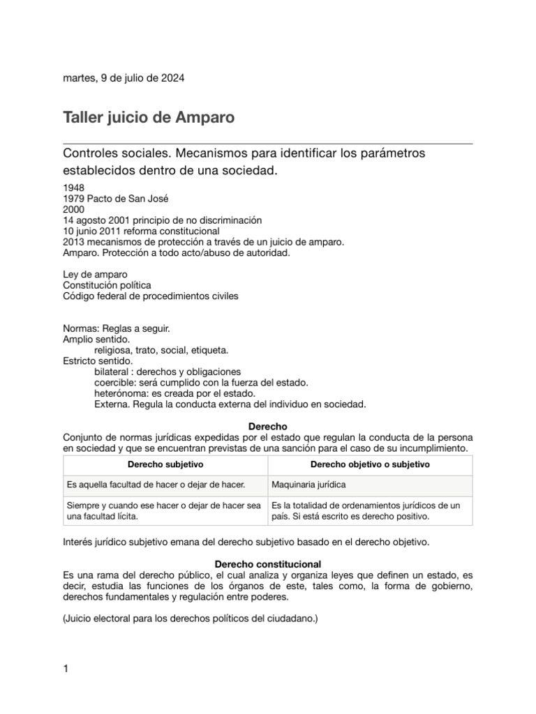 Taller sobre Juicio de Amparo y Derechos Humanos | PDF | Caso de ley ...