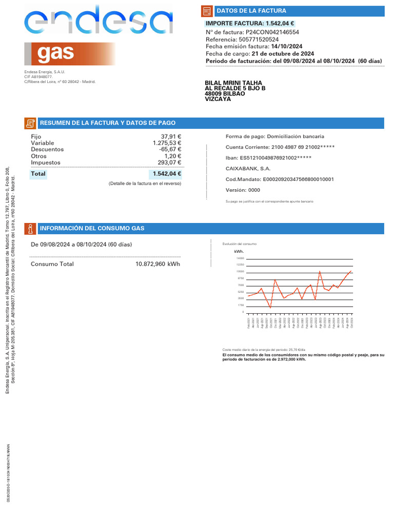 Factura de Gas Endesa: Octubre 2024 | PDF | Energia electrica | Poder ...