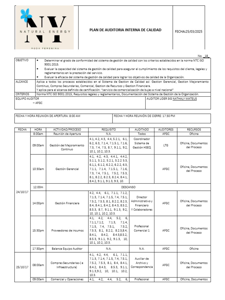 Plan de Auditoría Interna ISO 9001:2015 | PDF | Sistema de manejo de ...