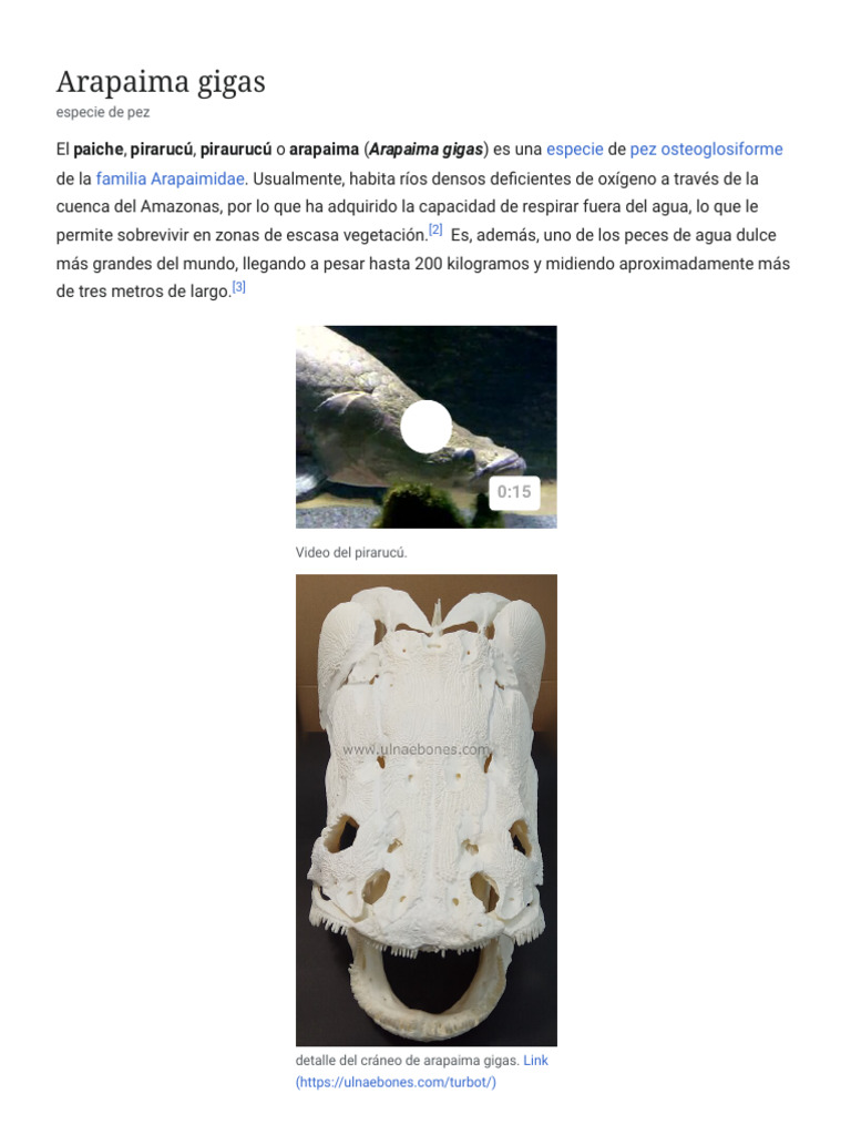 Arapaima Gigas - Wikipedia, La Enciclopedia Libre | PDF | Pescado