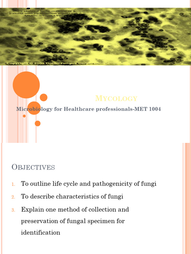 Understanding Medical Mycology Basics | PDF | Fungus | Cell (Biology)
