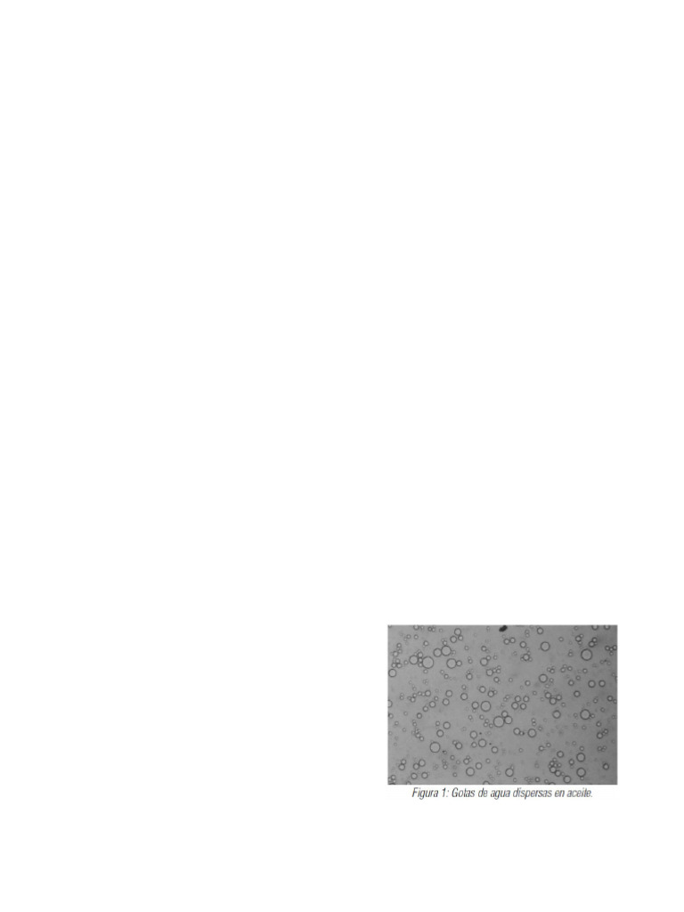 Lodos de Emulsión Inversa en Perforación | PDF | Emulsión | Agua