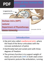 Hip Complex Biomechanics Overview | PDF | Pelvis | Hip