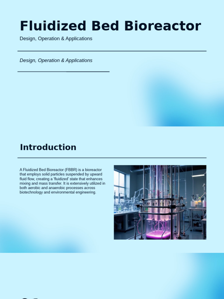 Fluidized Bed Bioreactor Overview | PDF | Fluidization | Anaerobic ...