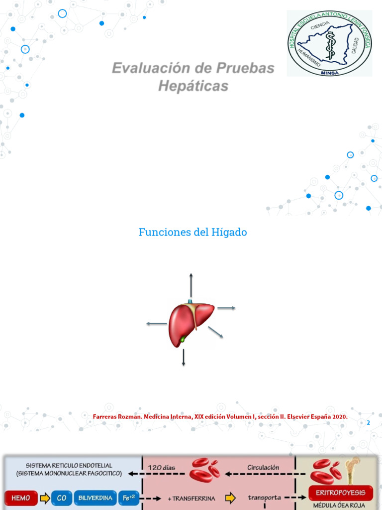 Evaluación de ALT y AST en Hepatopatías | PDF | Hepatitis | Transaminasa