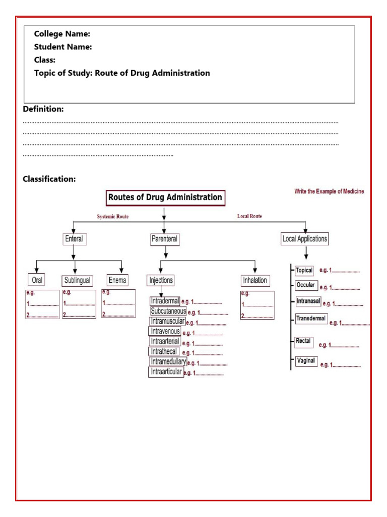 Drug Administration Routes Explained | PDF