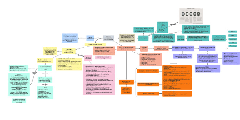 Mapa Conceptual DER. CONS. AMPARO | PDF | El proceso de destitución ...