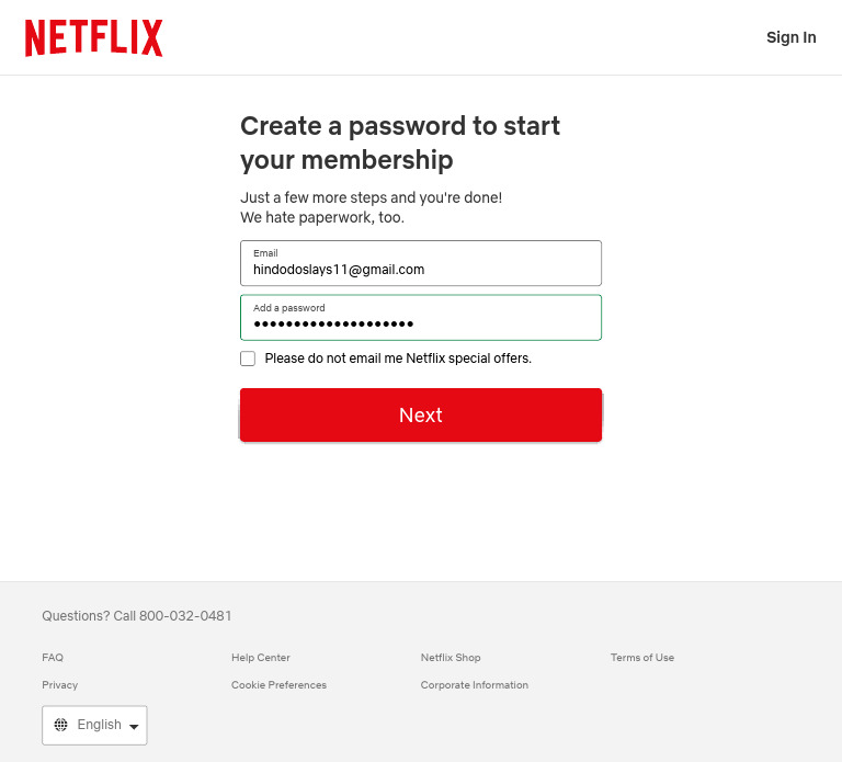Netflix Account Setup Instructions | PDF