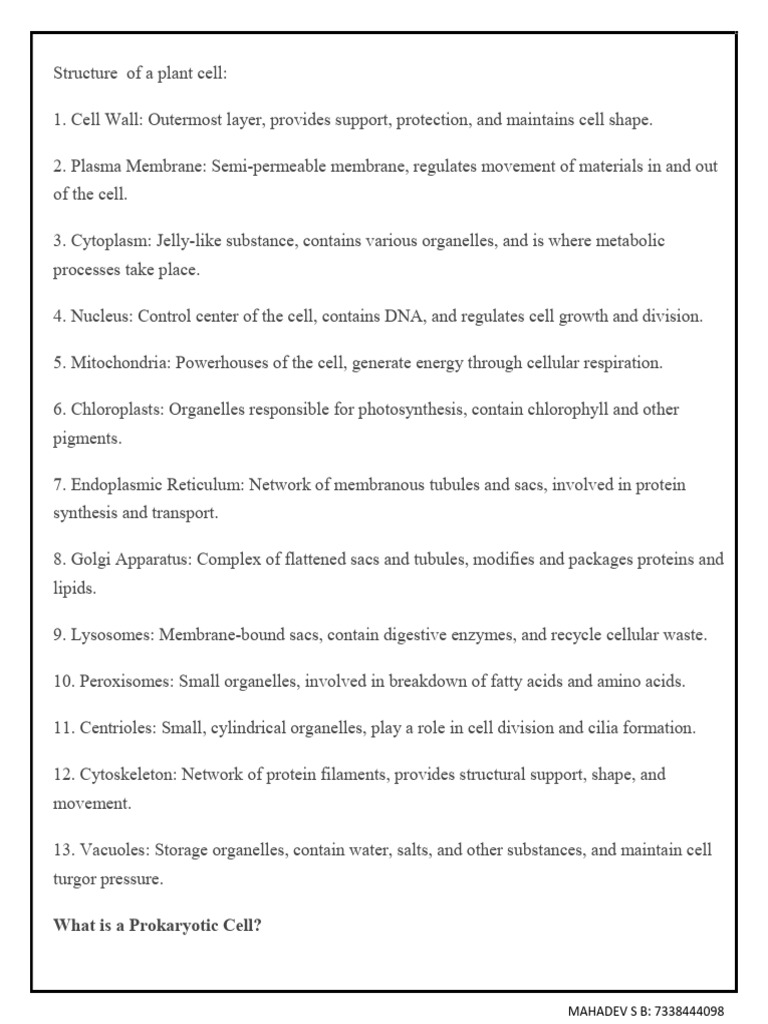 Cell Biology Notes - 072842 | PDF | Cell Nucleus | Chloroplast