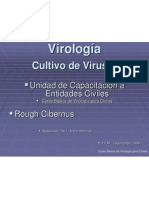 -Virologia-Cultivo-de-Virus-316