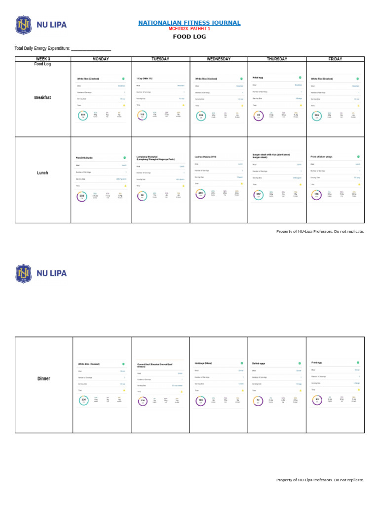 Food Log and Pedometer | PDF