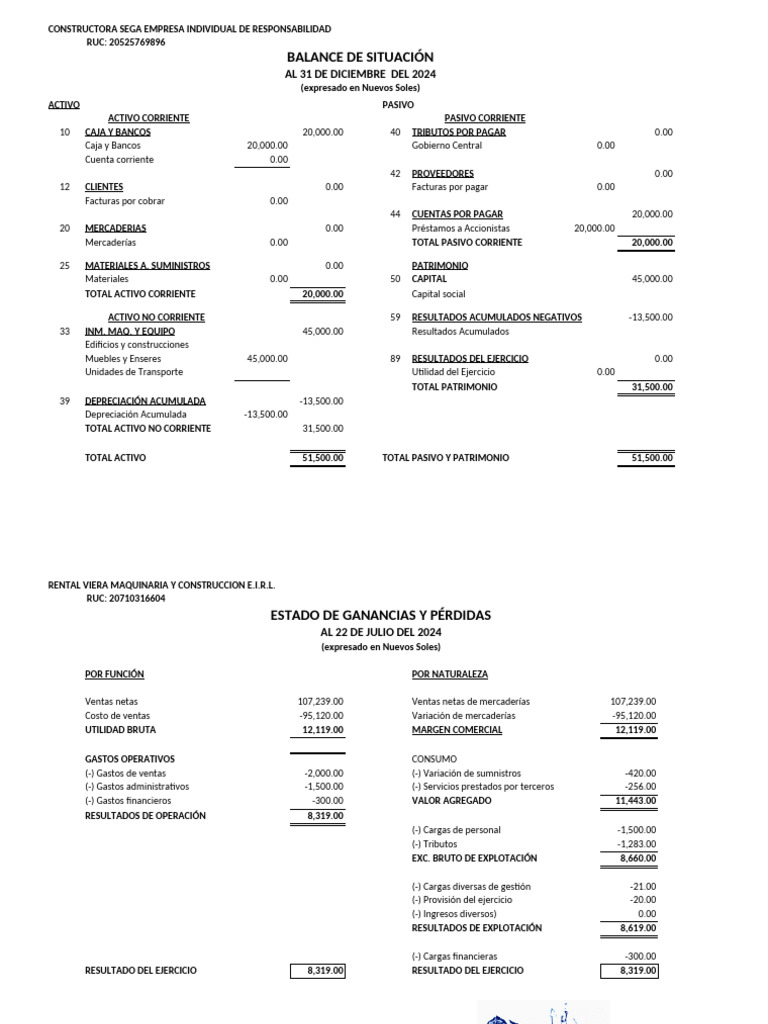 Balance y Resultados Financieros 2024 | PDF | Hoja de balance | Activo fijo