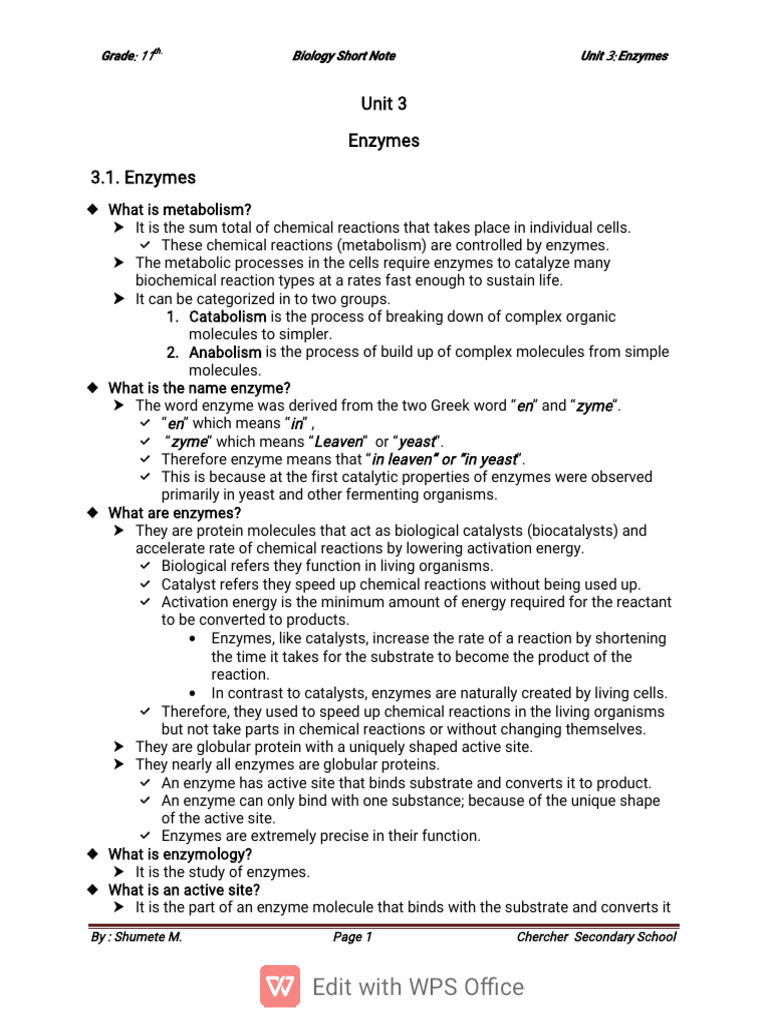 Understanding Enzymes in Biology | PDF | Enzyme | Active Site