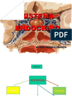 Expo Sistema Endocrino