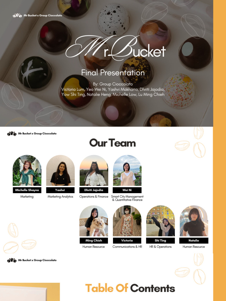 Mr Bucket's Premium Chocolate Strategy | PDF | Chocolate | Warehouse