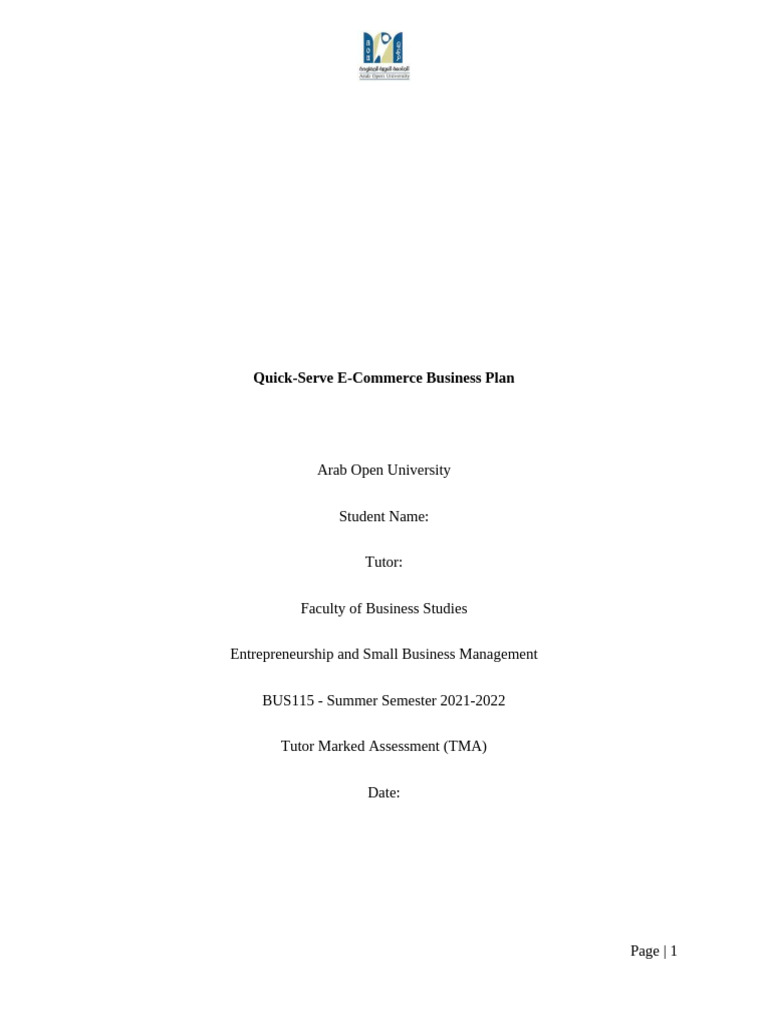 E Commerce Start Up Mini Business Plan | PDF | E Commerce | Revenue
