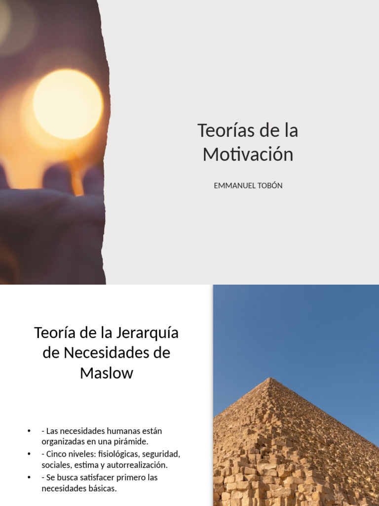 Teorias de La Motivacion | PDF