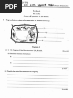 SPM 4551 2006 Biology k2 Berjawapan