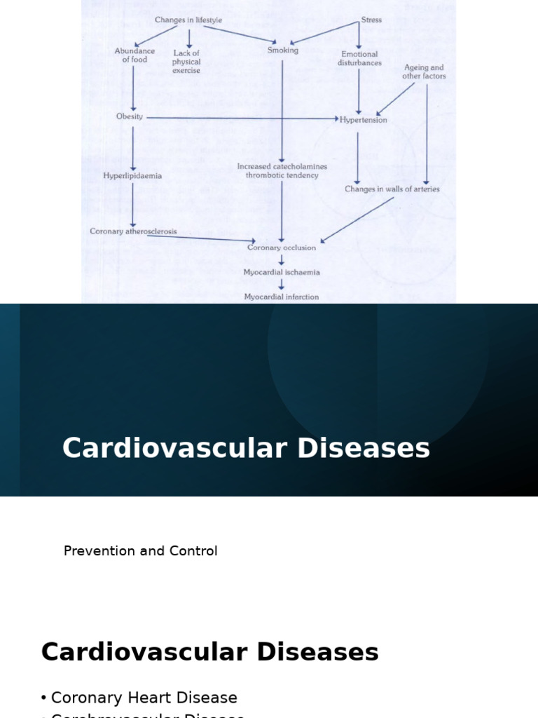 CVD Prevention Strategies and Risk Factors | PDF | Cardiovascular ...