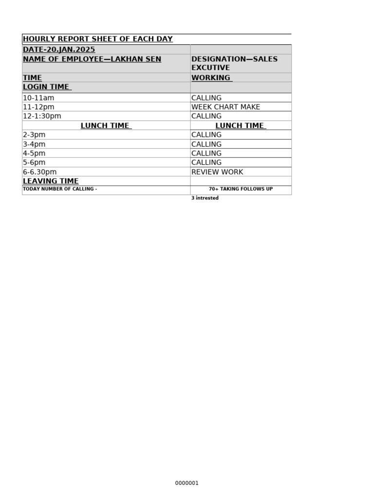 Hourly Report Sheet - (Lakhan Sen) | PDF
