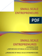 Small Scale Entrepreneur