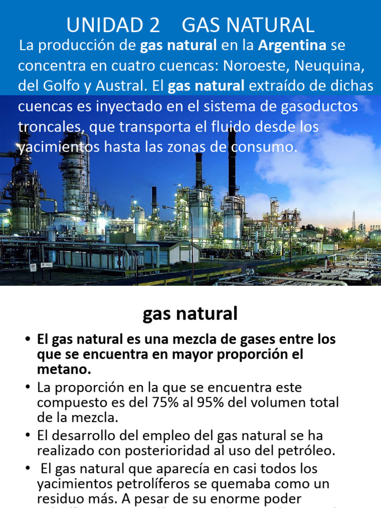 Producción y Distribución de Gas Natural en Argentina | PDF | Gas ...