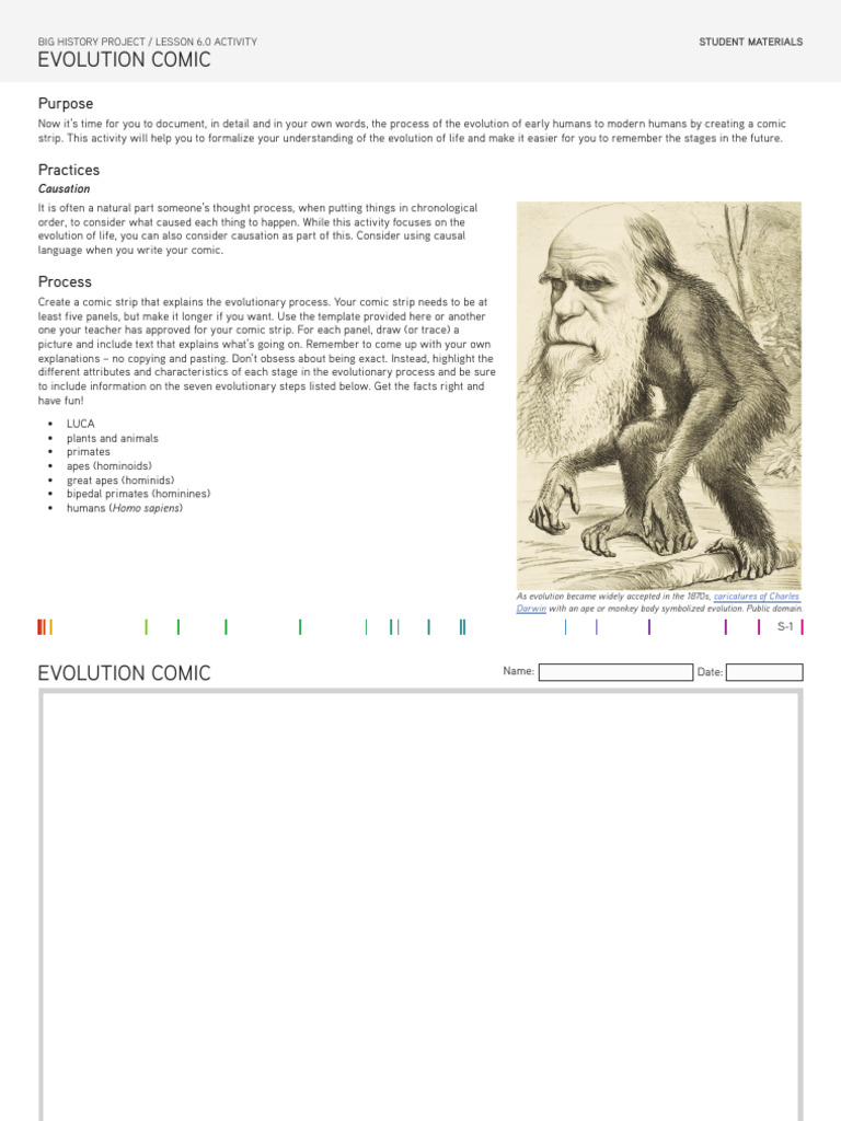 Evolution Comic Creation Activity | PDF | Ape | Hominidae