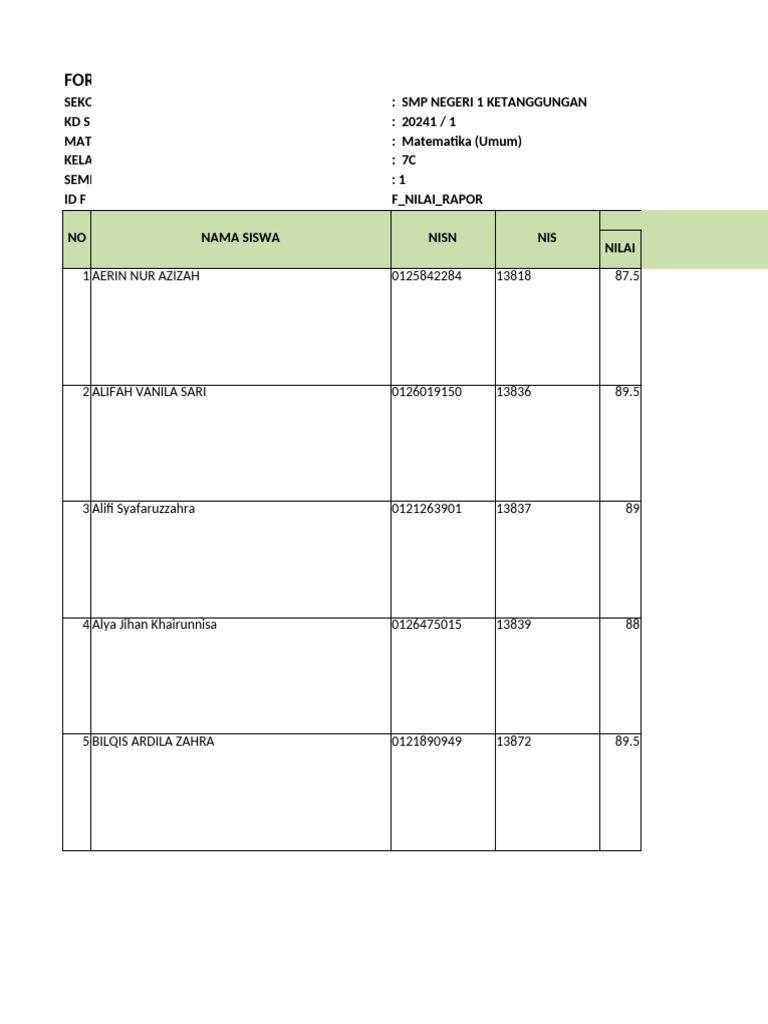 Nil - Rapor - 20241 - 401000000 - 7C | PDF