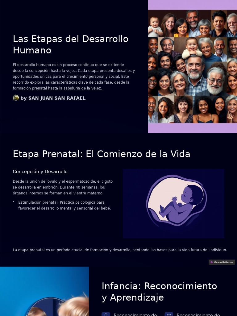 Las Etapas Del Desarrollo Humano | PDF | Adultos | Vejez