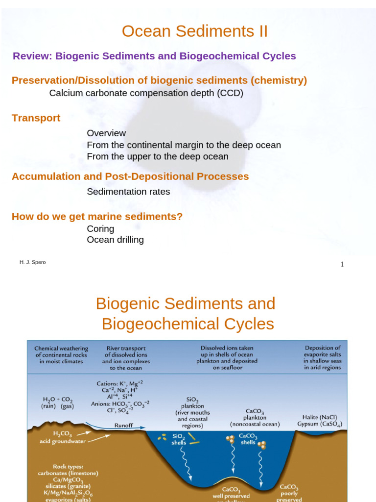 Lecture 6 Sediments II 2024 | PDF | Ocean Acidification | Oceans
